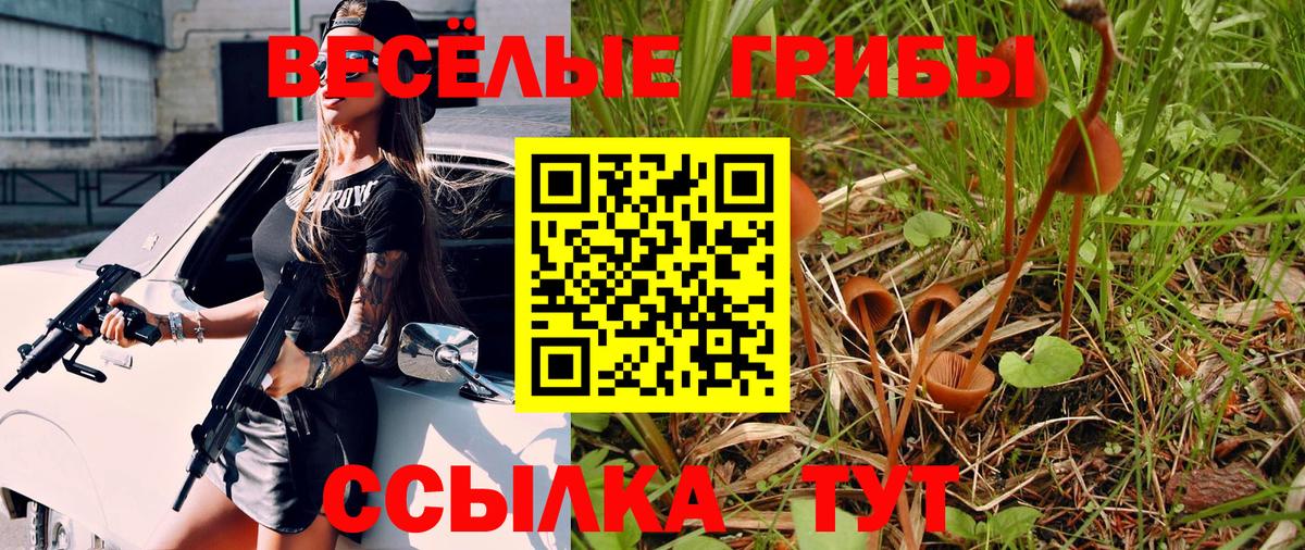 Псилоцибиновые грибы Psilocybine cubensis Богданович