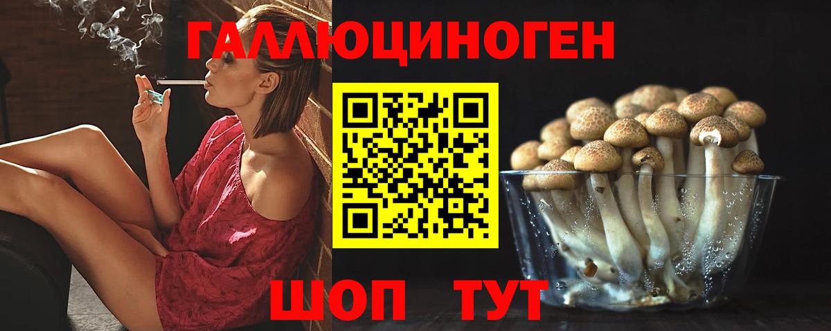 Галлюциногенные грибы прущие грибы  Вход с VPN  Богданович  Галлюциногенные грибы MAGIC MUSHROOMS 