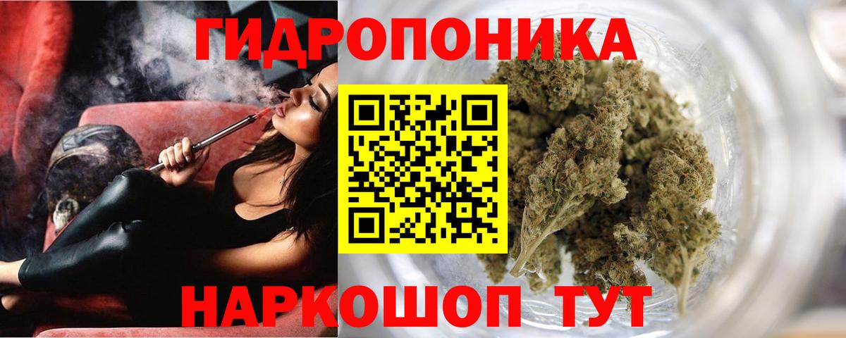 Бошки Шишки семена  МАРИХУАНА конопля  Богданович  Вход с VPN  Бошки Шишки тримм 